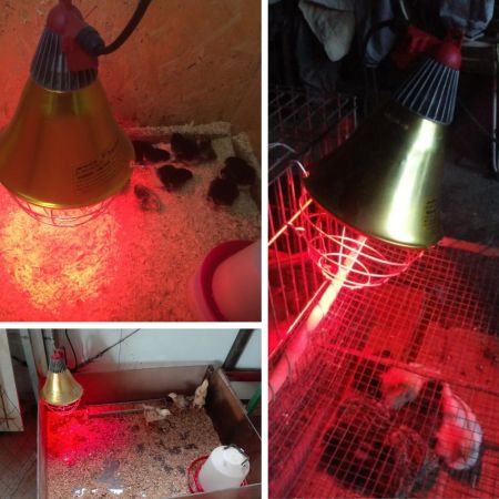 Рефлектор 250 Вт металл, шнур 2,5 м