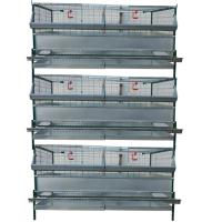 Клетка для 54 кур несушек "Любимая-профи"