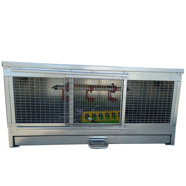 Брудер Стандарт-премиум