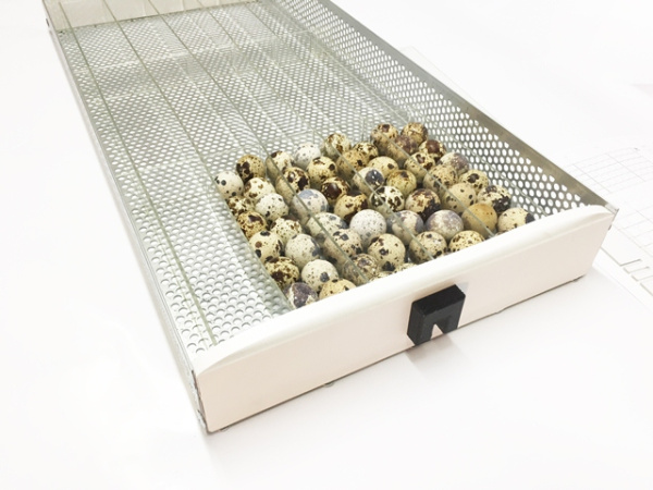 фото Перегородки инкубатора OVO 78