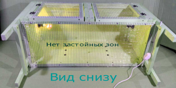 фото брудер Нежность-эконом