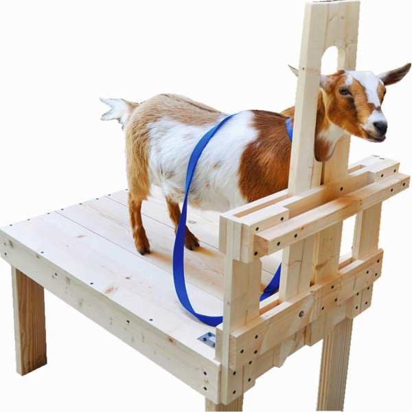 Станок для коз