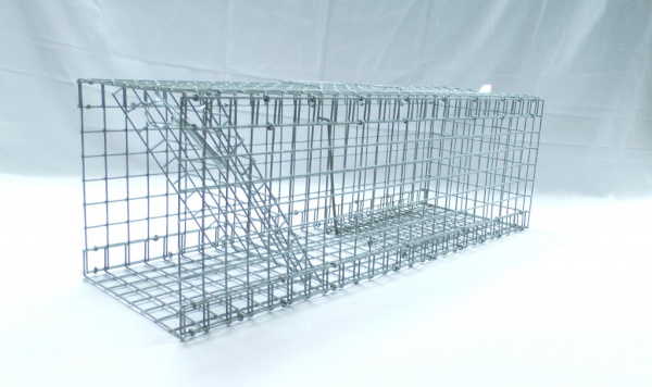 Крысоловка живоловка 60см