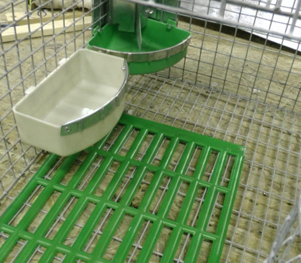 Чашечная поилка "Удача" с обрамлением