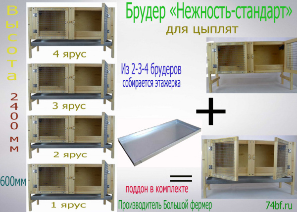 Фото брудер Нежность-стандарт