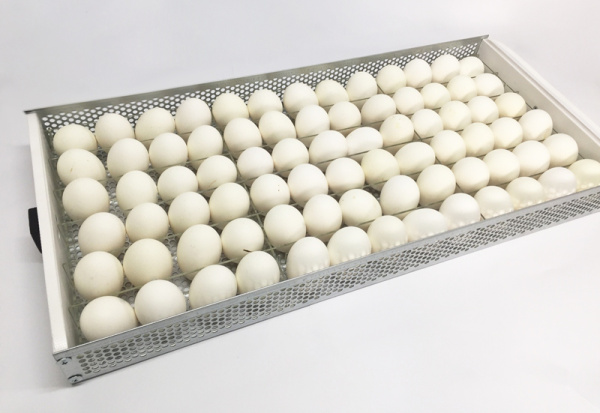 фото Перегородки инкубатора OVO 78