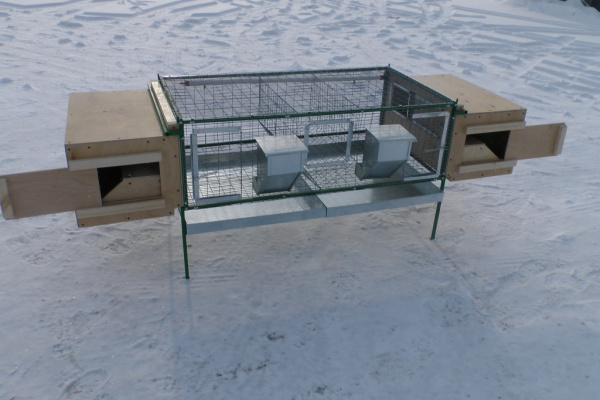 Клетка для звероводства "Любимая" комплектация №4