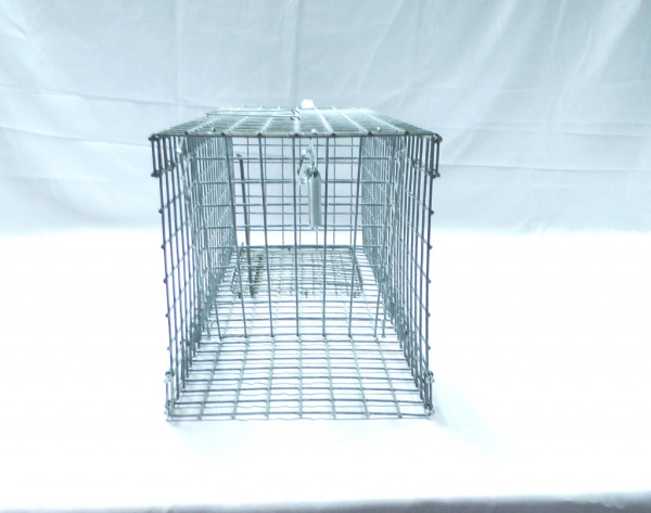 Крысоловка живоловка 60см