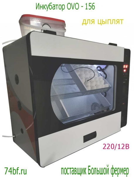 Инкубатор OVO 156 с перегородками